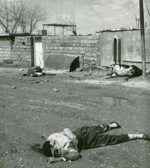 Halepçe katliamının 29. yıldönümü - 14