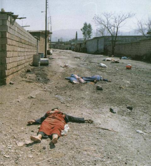 Halepçe katliamının 29. yıldönümü - 15