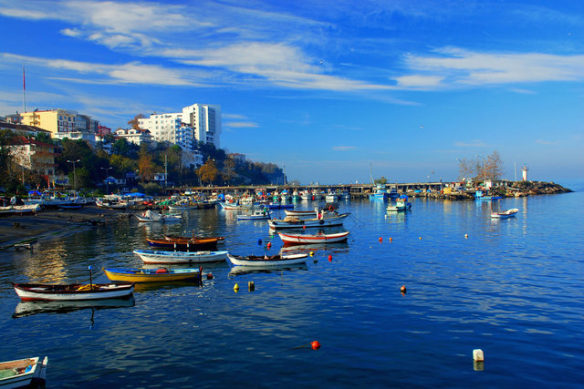 Hangi şehirde kaç Suriyeli var? - 28