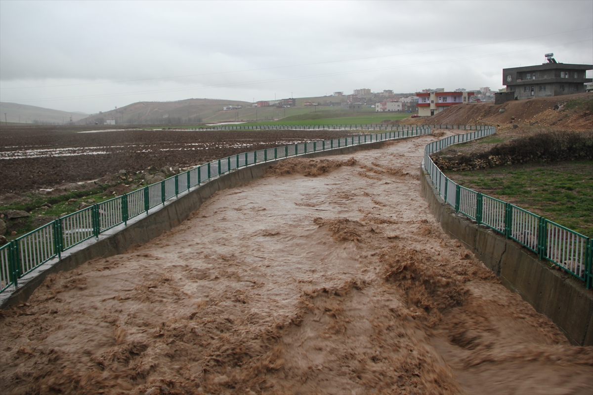 Siirt'te evleri su bastı - 5