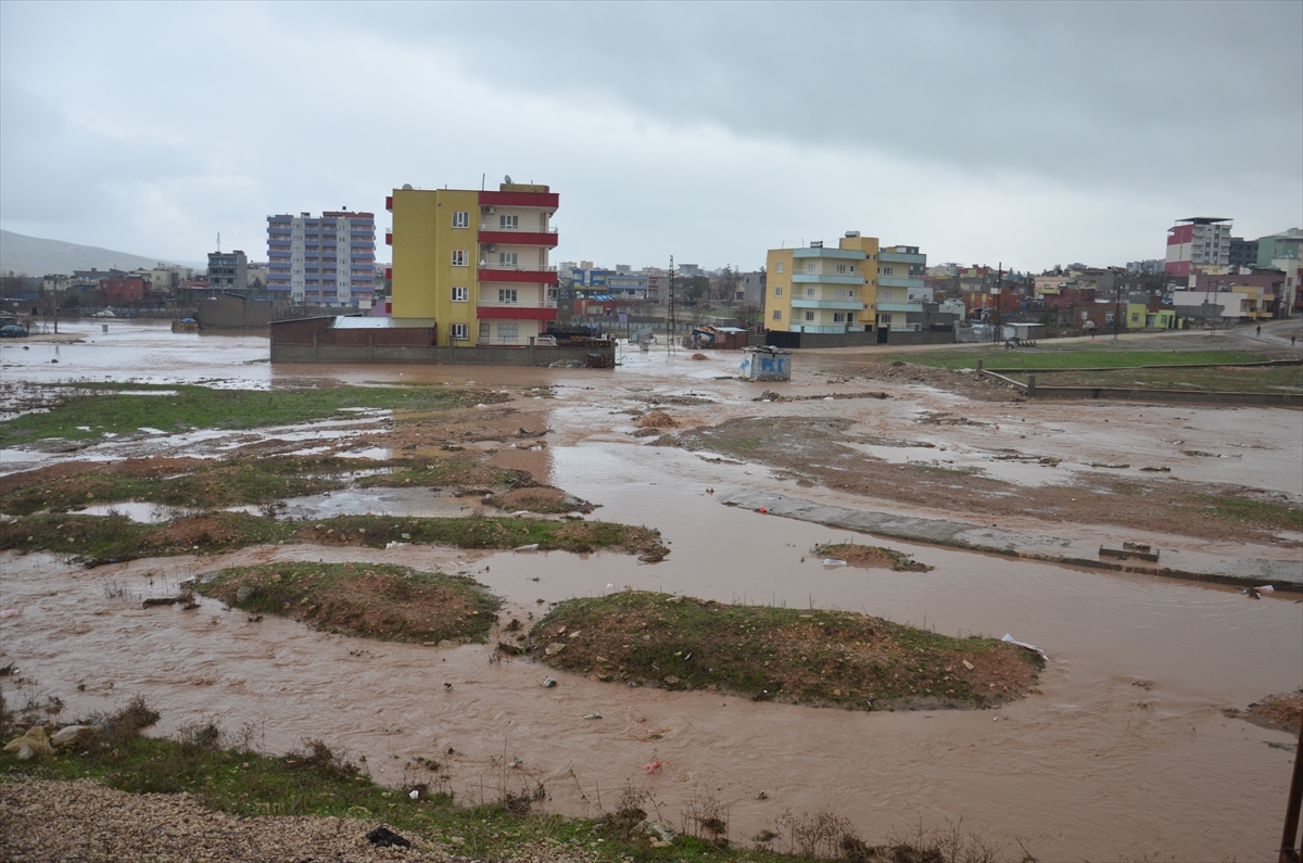Siirt'te evleri su bastı - 2