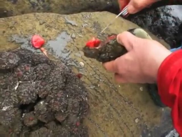 İçinden çıkanlar şoke etti! - 3