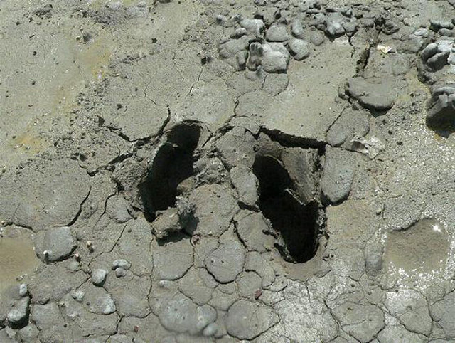 1 saniye sonrasını merak edeceğiniz fotoğraflar - 15