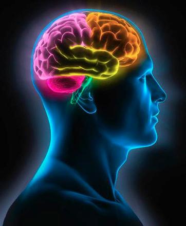 Zeki insanların en belirgin 6 özelliği - 3