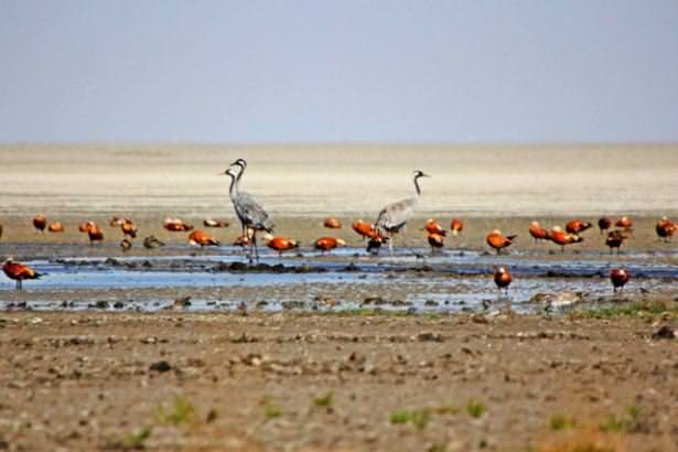 Türkiye'nin en kalabalık ilçeleri - 33