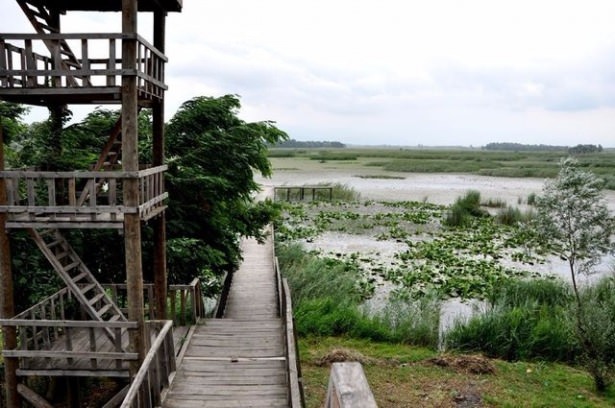 Türkiye'nin en kalabalık ilçeleri - 38