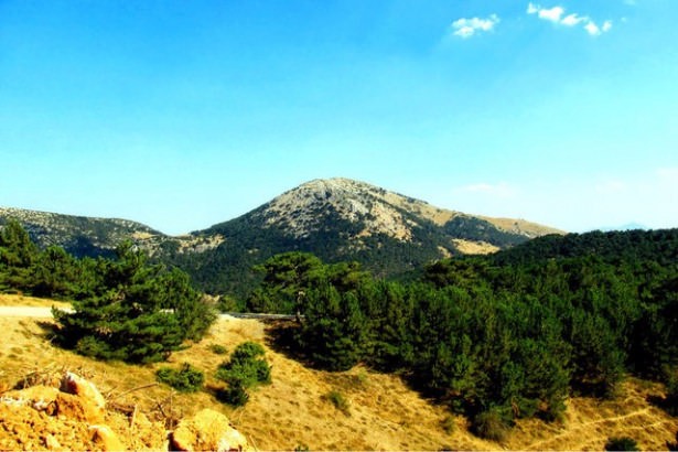 Türkiye'nin en kalabalık ilçeleri - 48