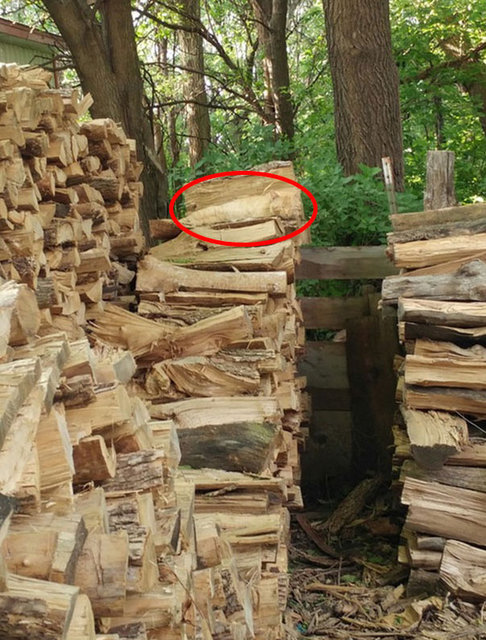 Bu fotoğrafları anlamak için birkaç kez bakmak gerek! - 2