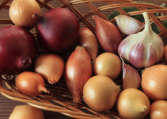 Kuru soğanın hiç bilmediğiniz faydaları... - 14