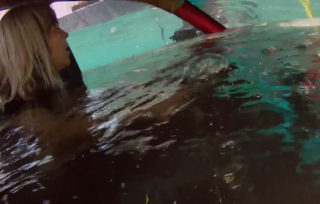 Kilitli bir arabadan anahtarsız nasıl çıkarsınız? - 7