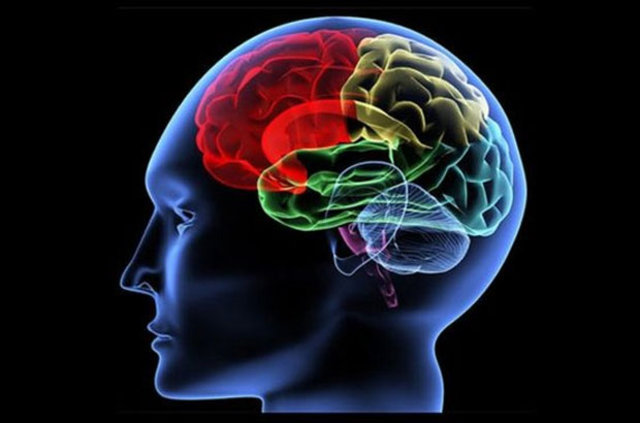 Beyin yaşınızı böyle hesaplayın! - 2