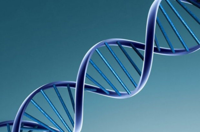 Beyin yaşınızı böyle hesaplayın! - 15