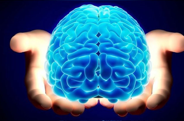 Beyin yaşınızı böyle hesaplayın! - 33