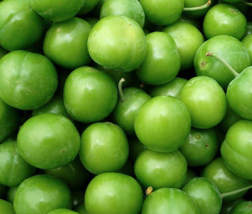 Eriği tuzlayıp yerseniz... - 7