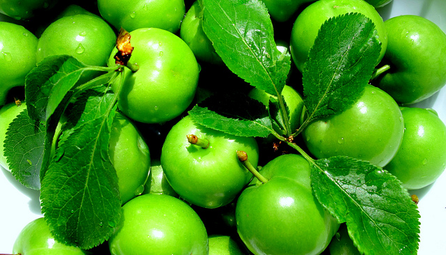 Eriği tuzlayıp yerseniz... - 5