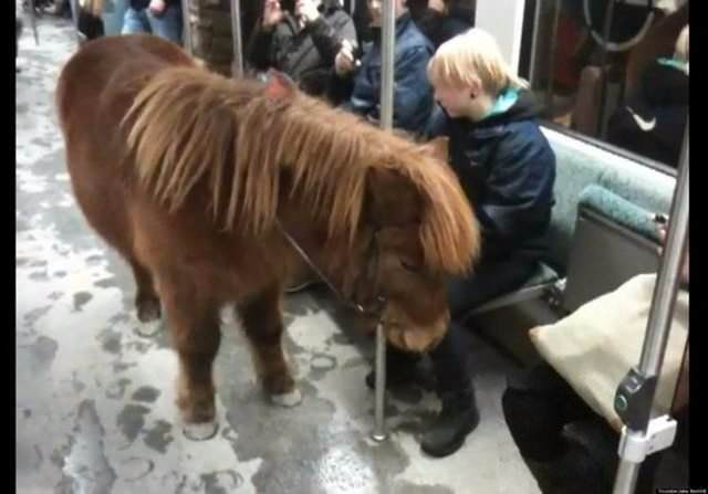 Metroda ilginç görüntü! Bu kadarı da 'pes' dedirtti! - 1