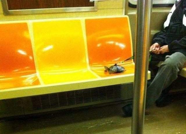 Metroda ilginç görüntü! Bu kadarı da 'pes' dedirtti! - 8