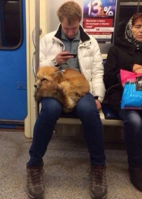 Metroda ilginç görüntü! Bu kadarı da 'pes' dedirtti! - 24