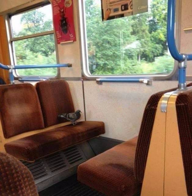 Metroda ilginç görüntü! Bu kadarı da 'pes' dedirtti! - 46