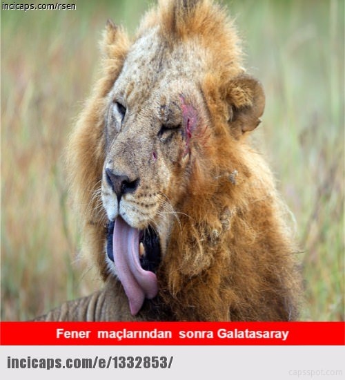 Galatasaray Fenebahçe capsleri - 3