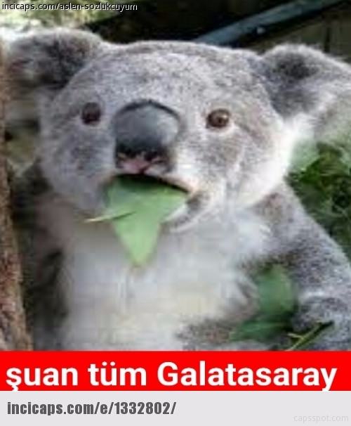 Galatasaray Fenebahçe capsleri - 29