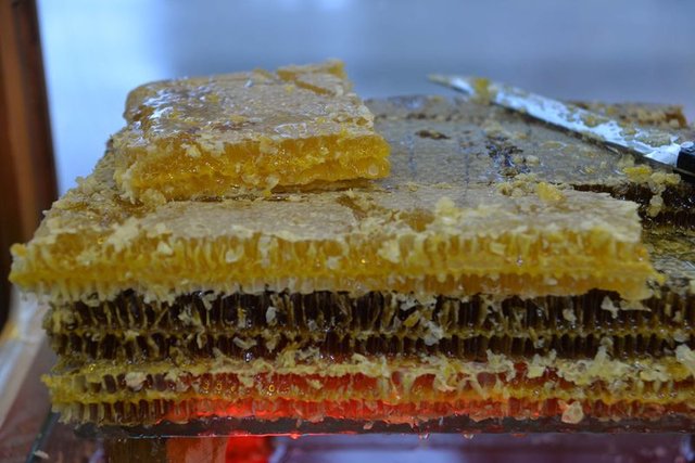 Kuran'da adı geçen vücut dostu besinler - 18