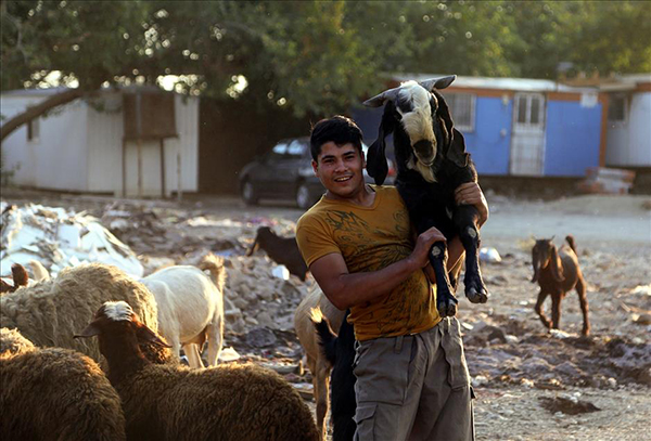 İslam dünyasında Kurban Bayramı hazırlıkları - 3