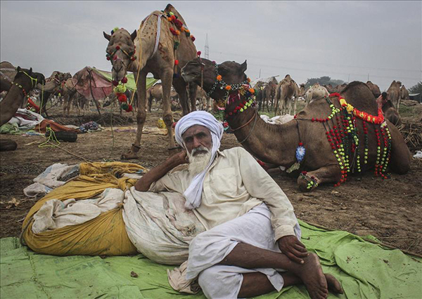 İslam dünyasında Kurban Bayramı hazırlıkları - 7