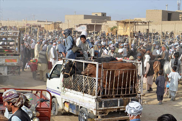 İslam dünyasında Kurban Bayramı hazırlıkları - 9