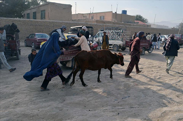 İslam dünyasında Kurban Bayramı hazırlıkları - 10