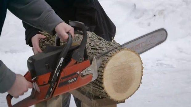 Tek bir kütükle bakın ne yaptı! - 1