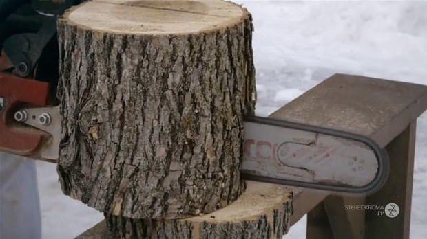 Tek bir kütükle bakın ne yaptı! - 4