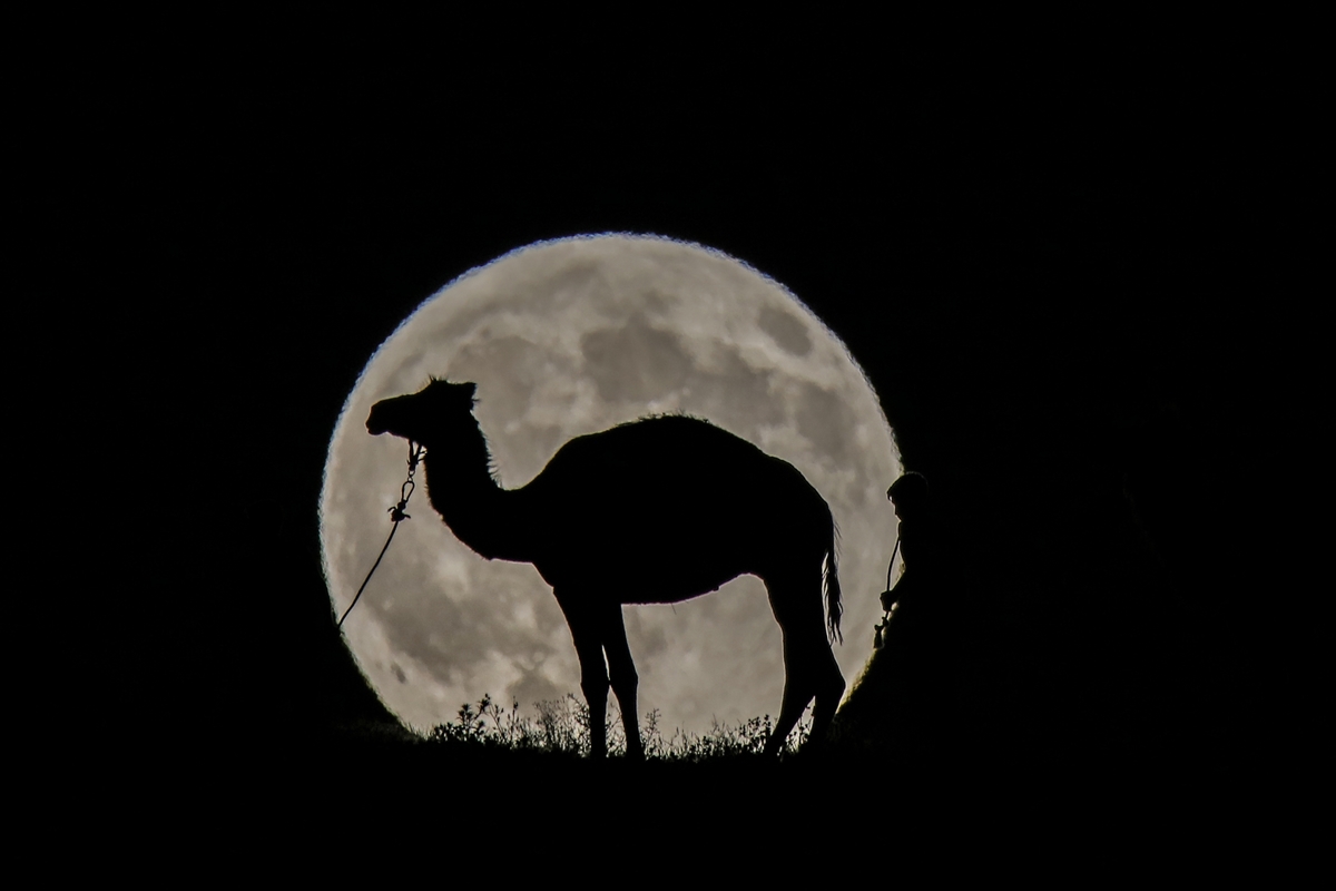 'Parçalı ay tutulması'ndan manzaralar - 0