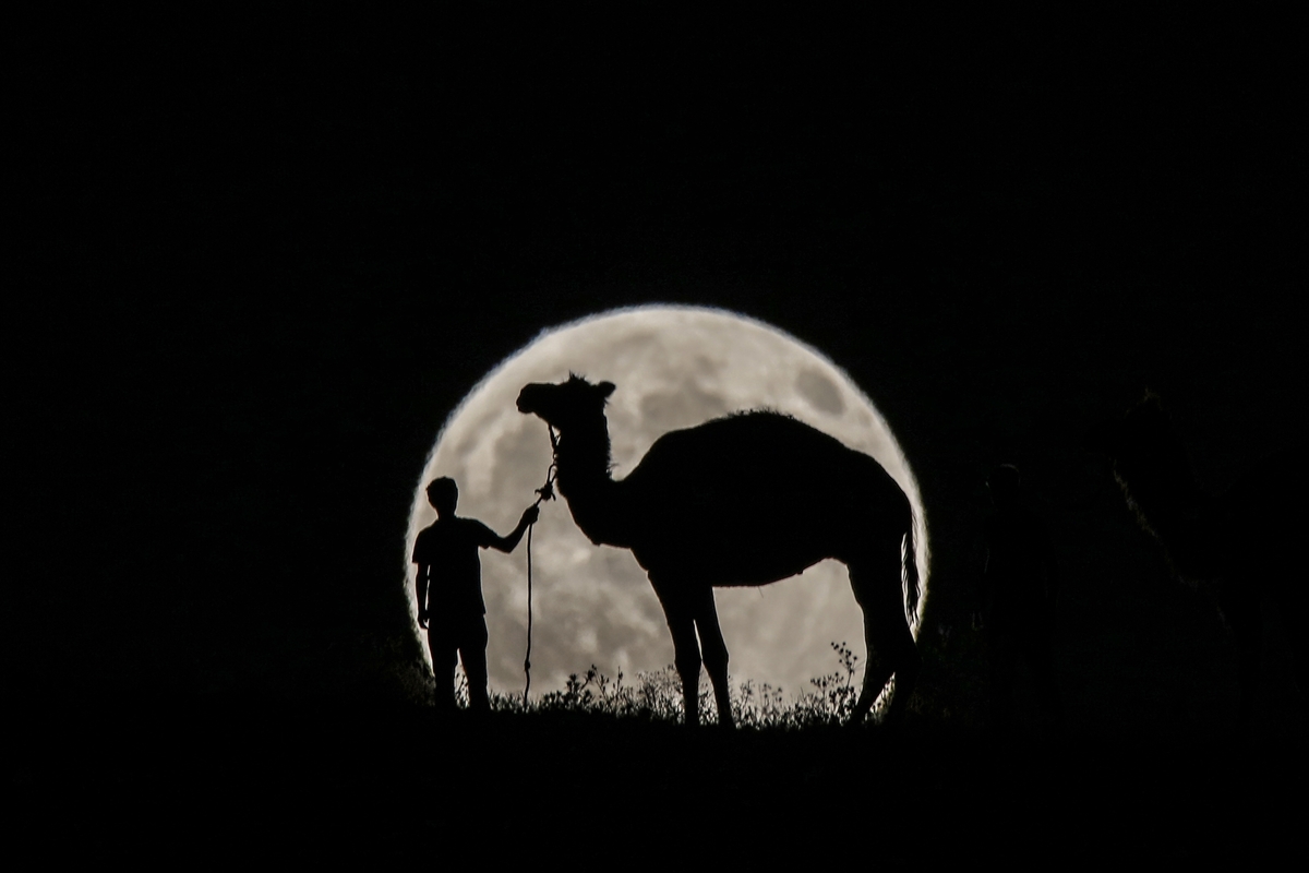 'Parçalı ay tutulması'ndan manzaralar - 0