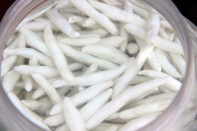 Kenger sakızı her derde deva! - 4