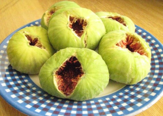 İncirin mucizevi faydaları - 26