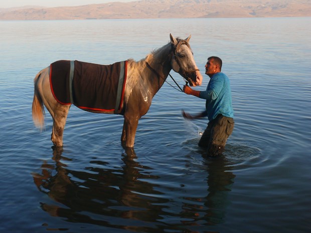 Van Gölü'nde yarışacaklar - 2