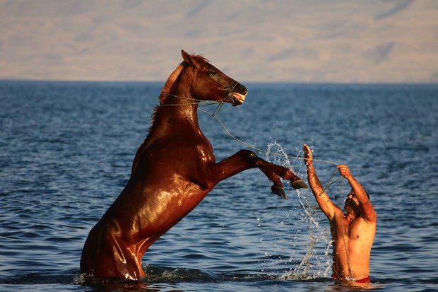 Van Gölü'nde yarışacaklar - 3