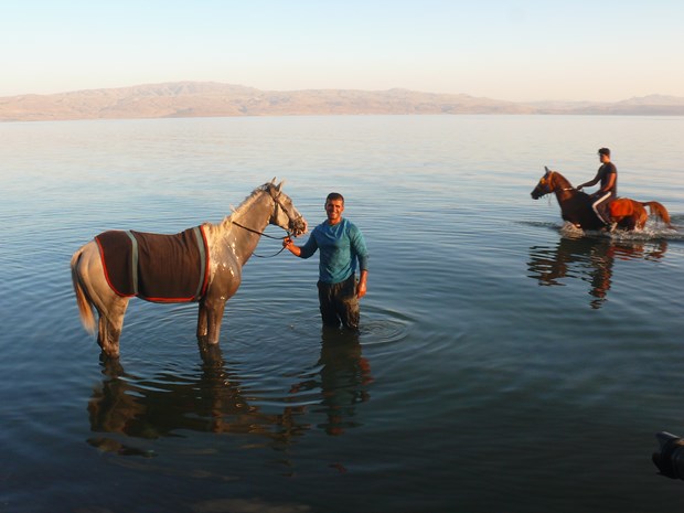 Van Gölü'nde yarışacaklar - 4