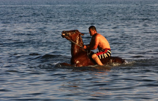 Van Gölü'nde yarışacaklar - 7