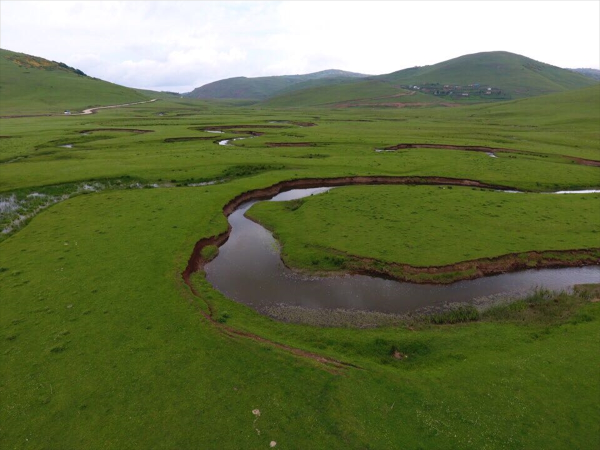 Ordu'nun mendereslerle ünlü yaylası: Aybastı - 0