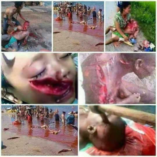 Arakan'da katliam var! - 2