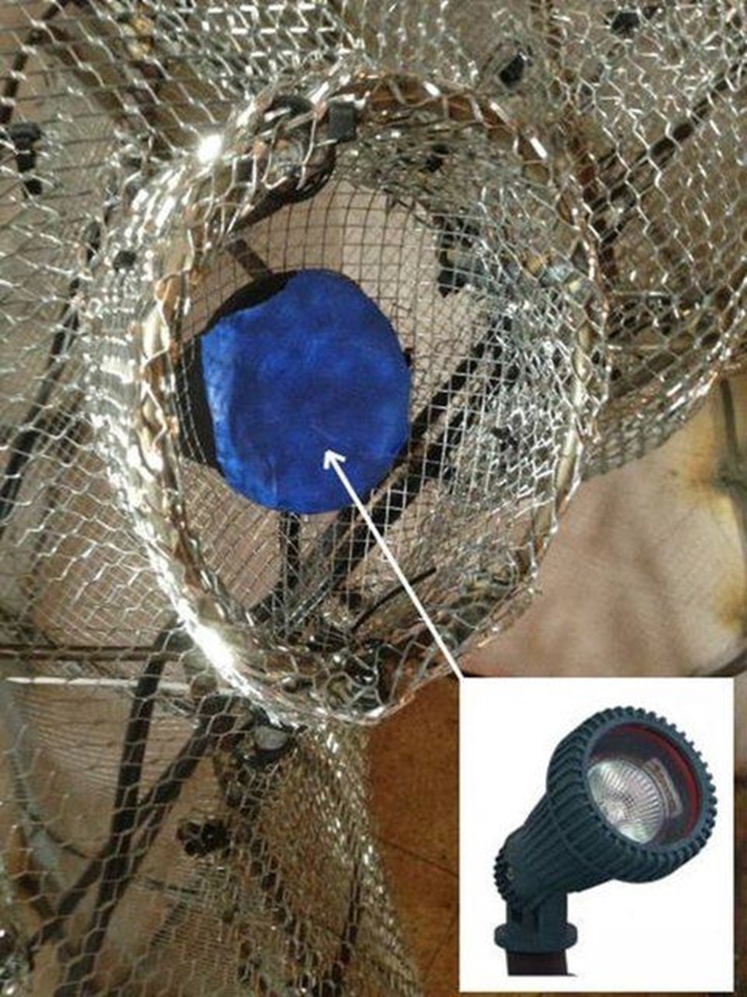 Babadan kızına sürpriz - 16