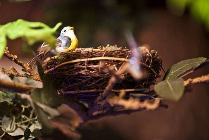 Babadan kızına sürpriz - 40