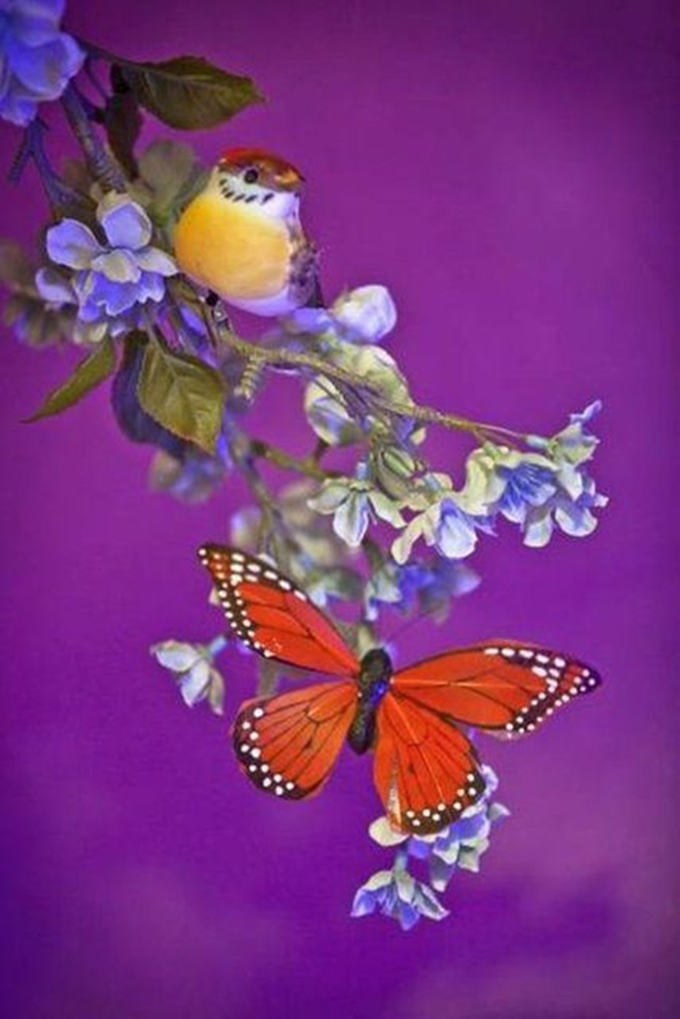 Babadan kızına sürpriz - 41