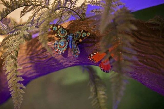 Babadan kızına sürpriz - 43