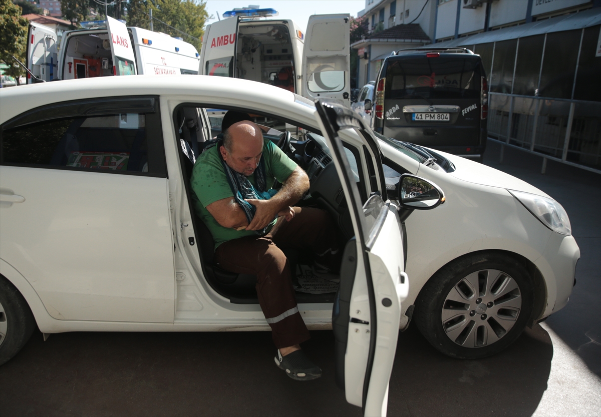 Türkiye'nin dört bir yanından 'acemi kasap' vakaları - 19
