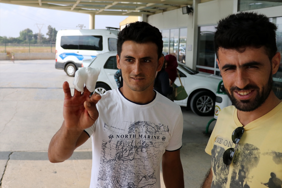 Türkiye'nin dört bir yanından 'acemi kasap' vakaları - 12