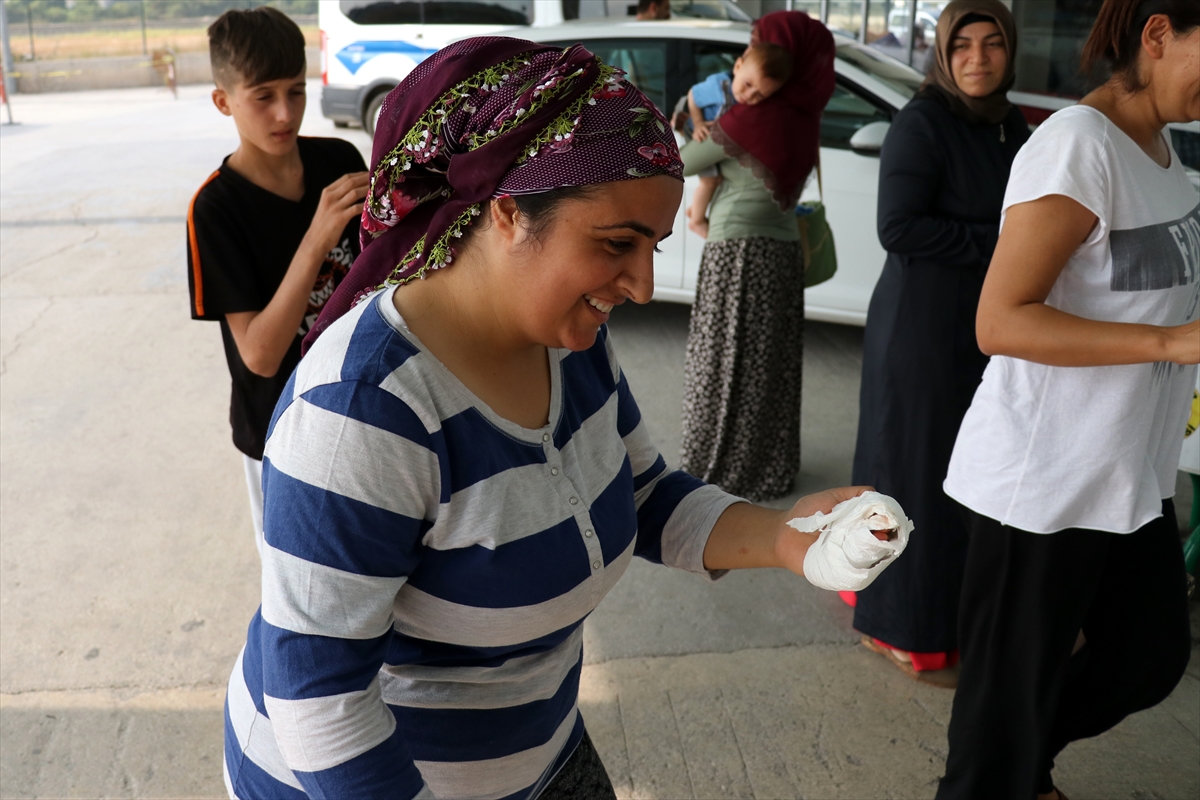 Türkiye'nin dört bir yanından 'acemi kasap' vakaları - 13