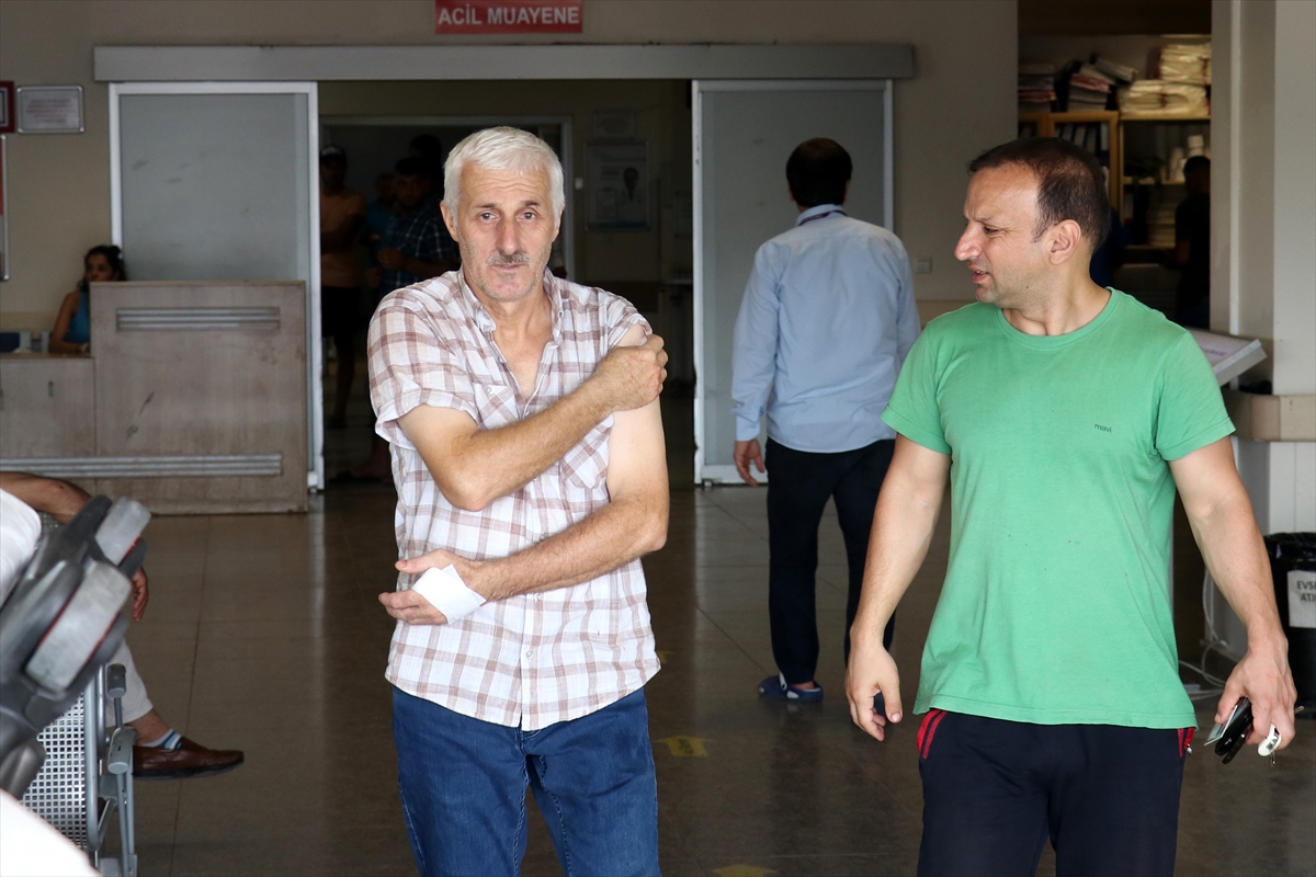 Türkiye'nin dört bir yanından 'acemi kasap' vakaları - 14